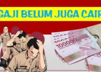Gaji TPP Belum Terbayarkan Pegawai Resah