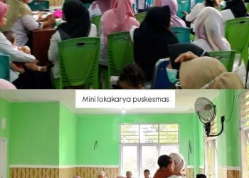 Puskesmas Minlog Gelar Lokakarya Program Kerja 2025, Dipimpin Langsung Oleh Kapus Lawele”Mualimin Banisi,SKM,M.Si
