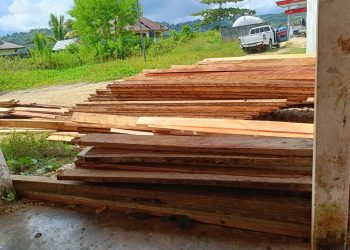 Tumpukan Kayu Puluhan Kubik di Pangkalan Pertamina TPI Kamaru Hambat Distribusi BBM Nelayan