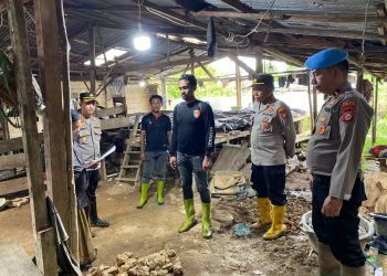 Kapolres Halmahera Selatan Pimpin Penertiban Tambang Emas Ilegal di Desa Kusubibi