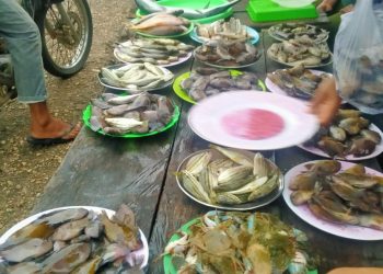 Tradisi Sore di Koholimombono: Lapak Ikan Pinggir Jalan yang Jadi Nadi Ekonomi Warga