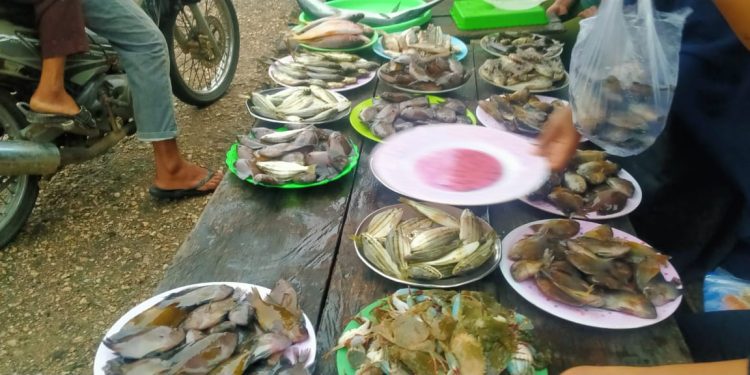 Tradisi Sore di Koholimombono: Lapak Ikan Pinggir Jalan yang Jadi Nadi Ekonomi Warga