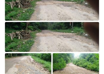 Kondisi Jalan Poros Wabaelangko, Desa Kondowa, Memprihatinkan – Rawan Kecelakaan dan Diabaikan Bertahun-tahun