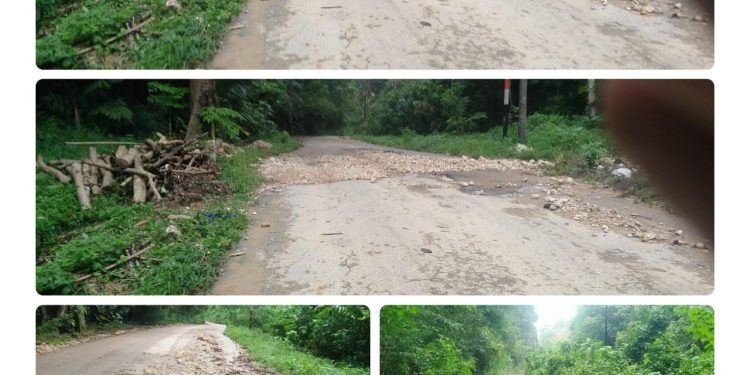 Kondisi Jalan Poros Wabaelangko, Desa Kondowa, Memprihatinkan – Rawan Kecelakaan dan Diabaikan Bertahun-tahun