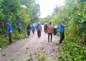 Guru Bukan Hanya Mengajar di Kelas: Aksi Nyata Sambut HUT Buton ke-66 dan Hari Jadi Pasarwajo ke-22