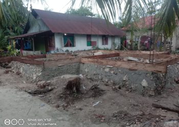 Keterlibatan Anggota BPD dan Kadus sebagai Mandor Proyek Posyandu Dinilai Tidak Etis, Disorot dari Sisi Regulasi