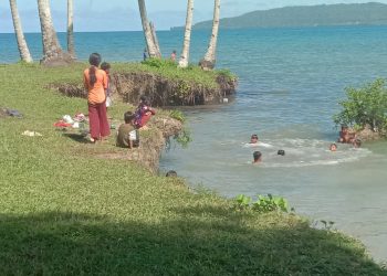 Teduhnya Kelapa, Hangatnya Warga, dan Suara Alam yang Mengajak Kita Pulang