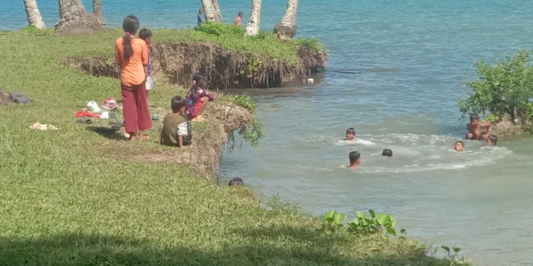 Teduhnya Kelapa, Hangatnya Warga, dan Suara Alam yang Mengajak Kita Pulang