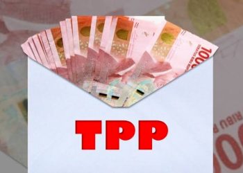 TPP ASN: Janji Bulanan yang Jadi Mitos Tahunan