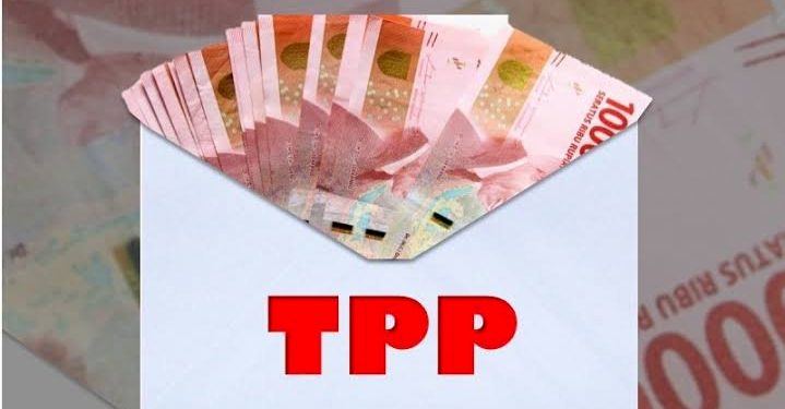 TPP ASN: Janji Bulanan yang Jadi Mitos Tahunan