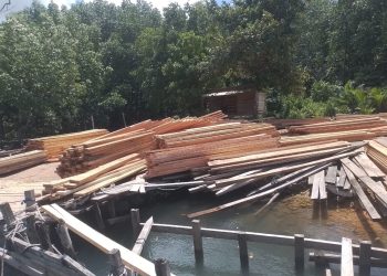 Kayu di Pelabuhan Desa Malaoge Diduga Berasal dari Beberapa Desa di Kecamatan Lasalimu, Akan Dikirim ke Kupang, Flores, dan Wakatobi
