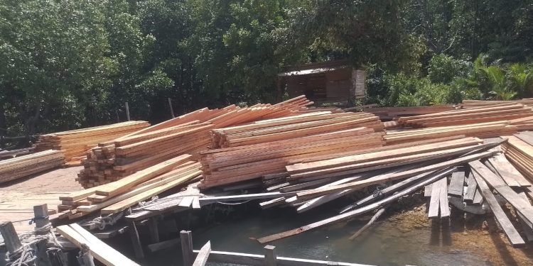 Kayu di Pelabuhan Desa Malaoge Diduga Berasal dari Beberapa Desa di Kecamatan Lasalimu, Akan Dikirim ke Kupang, Flores, dan Wakatobi