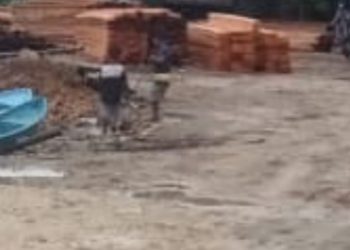 Tumpukan Kayu di Dermaga Umalaoge, Kecamatan Lasalimu Selatan, Setelah Ditelusuri Sudah Punya Izin Resmi