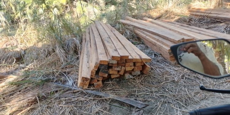 Dugaan Penebangan Liar Bakau di Sungai Malaoge, Jalur Desa Kinapani Kecamatan Lasalimu Selatan Jadi Sorotan