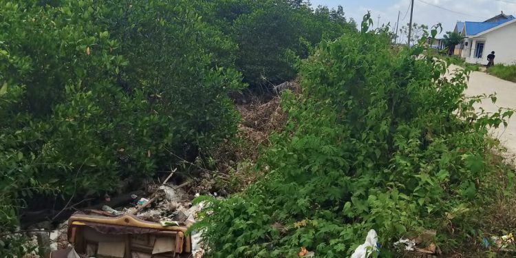 Sampah Cemari Laut dan Hutan Mangrove di Dermaga Desa Balimu, Ketua Pokmaswas Minta Tanggung Jawab Dinas Terkait