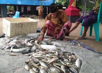 Kabaria, Ritual Tahunan Masyarakat Kondowa Dongkala Menyongsong Pesta Adat